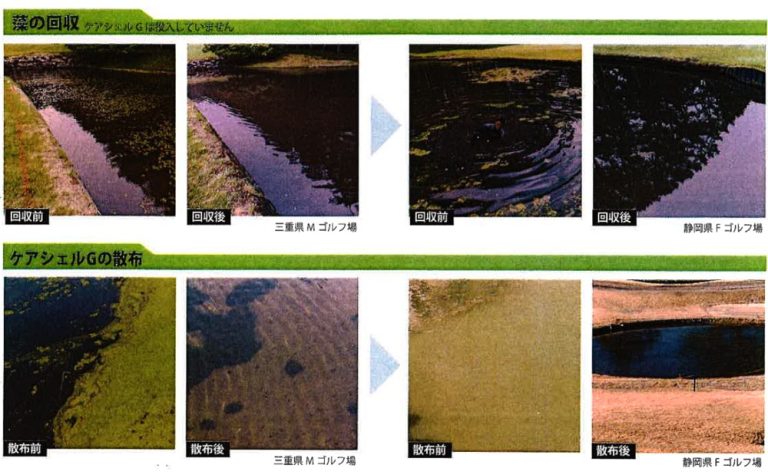 ゴルフ場池清掃ボール回収